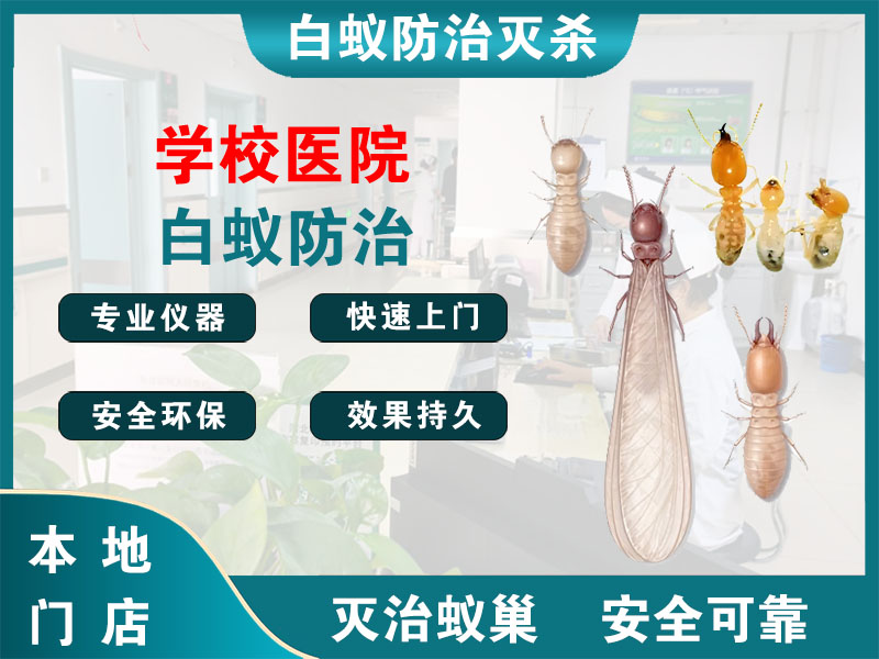 宿城学校医院白蚁防治