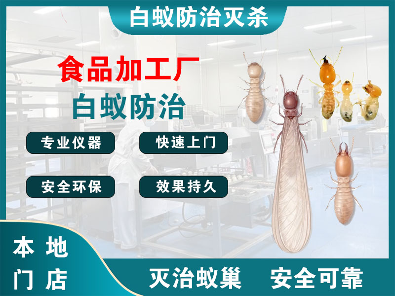宿城食品加工厂白蚁防治