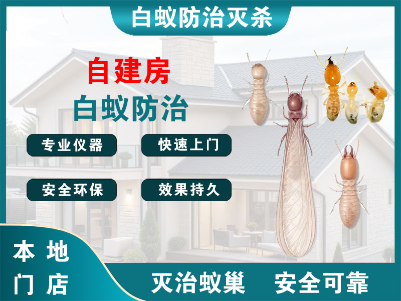 宿城自建房白蚁防治