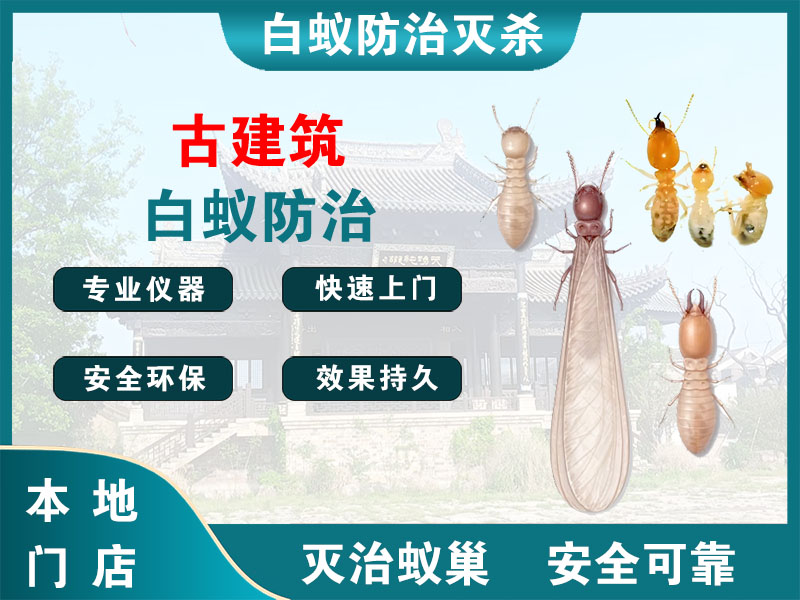 宿城古建筑白蚁防治