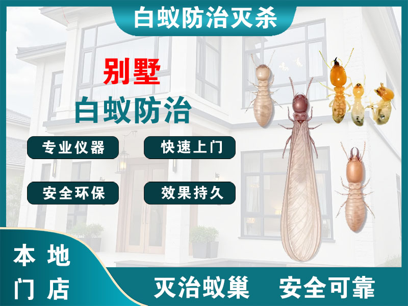 宿城别墅白蚁防治